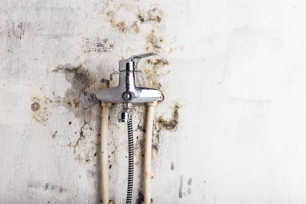 Water Damage Restoration in Portland, OR