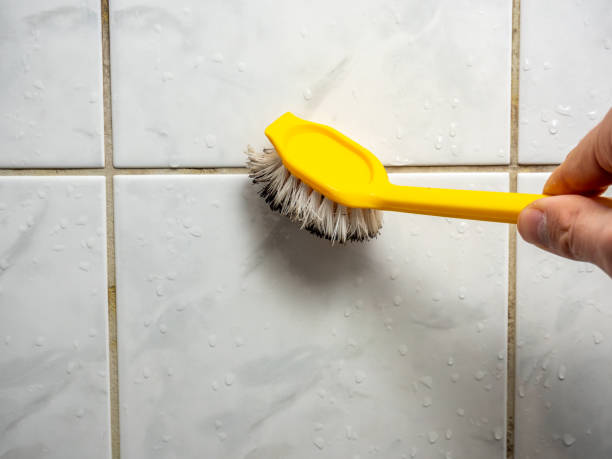 Best Residential Mold Removal  in Ptland, OR