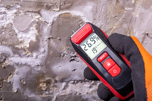 Best Fast Mold Removal  in Ptland, OR